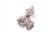 5199d1ea193bbb20d9d49d03ff9e02d6