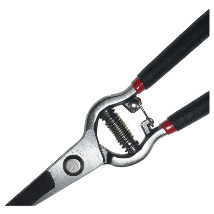 2648443aa7f9960eff51d256cf19bab7
