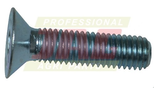 237579.01_01.JPG
