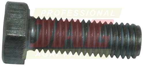 238419.01_01.JPG