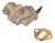 b577ea10dc4b2ff84ecc90bd462fa3dd