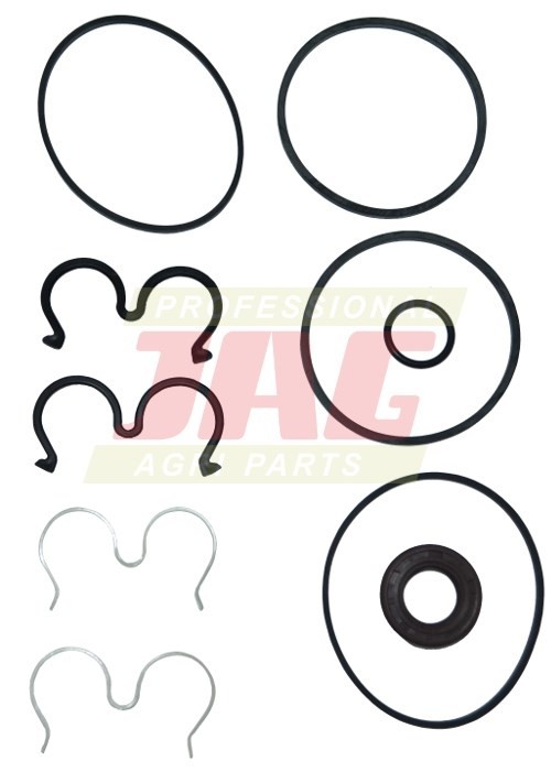 Zestaw uszczelnień pompy hydraulicznej Massey Ferguson 100 1000 3100439M91