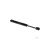 c7acf3f403e8afc25a488aec068e245a