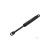 3c90e2f5e66b81fff07b14c6cdbf2e24