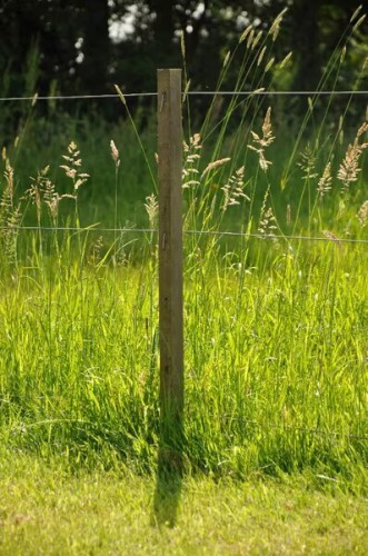 1d153b14b787e542be4bdad9a94ec204