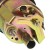 be3e2041a3ec0390a1bfea76a4a9fd37
