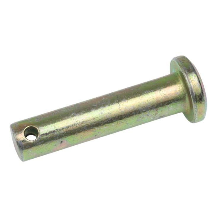 5002124ZAM_1.jpg