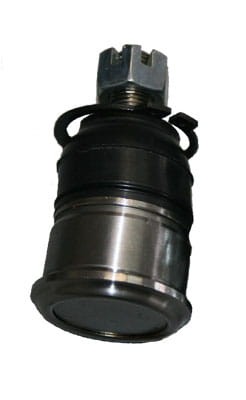 KOŃ000076_1.jpg